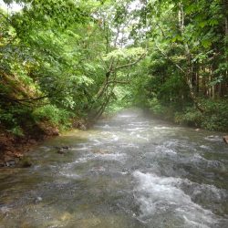 増水の渓でミノーイング